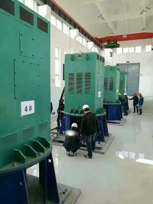 玛沁某污水处理厂使用我厂的立式高压电机安装现场