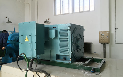 玛沁某水电站工程主水泵使用我公司高压电机品质保证