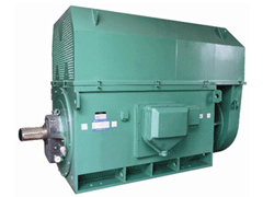 玛沁Y系列6KV高压电机